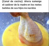 IMG_8912.jpeg