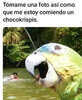 IMG_8924.jpeg