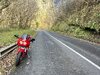 IMG_1790.jpeg
