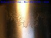 DSCN3956_Foro.JPG