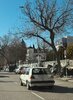 IMG_7276.jpeg