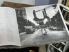 IMG_3193.jpeg