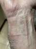 IMG_3042.jpg
