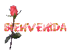 Bienvenida_1.gif