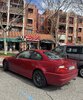 IMG_8206.jpeg