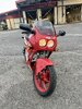 IMG_4428.jpeg