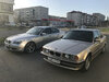 804651ds-960.jpg