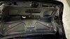 IMG_2339.jpeg