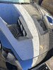 IMG_7393.jpeg