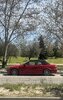 IMG_8782.jpeg