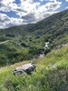 IMG_8144.jpeg