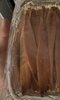 IMG_9117.jpeg
