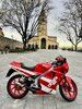 IMG_4429.jpeg