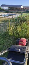 IMG_20250527_082036.jpg