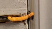 IMG_5779.jpeg