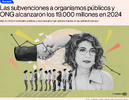 Screenshot 2025-06-18 at 11-26-52 Las subvenciones a organismos públicos y ONG alcanzaron los ...png
