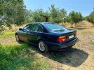 IMG_2969.jpeg