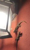 IMG_20250806_001256.jpg