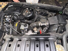 IMG-0635.jpg