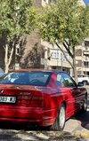 IMG_2964.jpeg