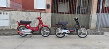 IMG_20251008_150130.jpg