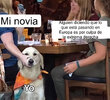 IMG_1976.jpeg