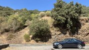 IMG_2901.JPEG