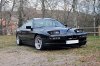 _MG_5558.jpg