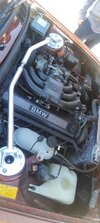 IMG_20260220_150442.jpg