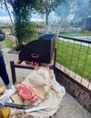 IMG_5938.jpeg