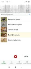 Screenshot_2026-04-12-15-55-52-706_com.labs.merlinbirdid.app.jpg