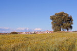 DSC_0178.JPG