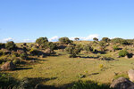 DSC_0159.JPG