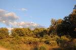 DSC_0208.JPG DSC_0208.JPG