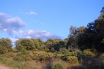 CSC_0223.JPG CSC_0223.JPG