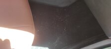 IMG_20260522_133057.jpg