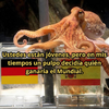 a18e4a7b6d02c7e99d35add2a0fcd3b60ee812c18cc683dd6e56522bc44e5ef0.png