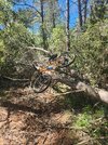 MTB1.jpg