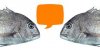 upload_2016-4-22_16-50-59.jpeg