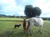 DSC00697.jpg