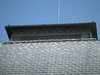 DSCF9202.JPG