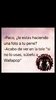 WhatsApp Image 2017-11-17 at 12.26.48.jpeg
