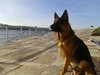 IMG-20171105-WA0109.jpg