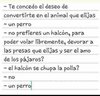 WhatsApp Image 2017-11-22 at 08.08.21.jpeg