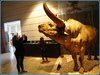 Museo de la Valltorta1.jpg