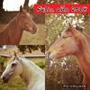 Collage 2017-12-31 17_22_57-1600x1600.jpg