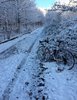 IMG_5167.jpg