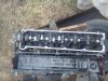 DSC00778.jpg