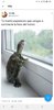 Screenshot_20181030-085604_Chrome.jpg
