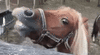 4109C6F3-6533-4A87-B96C-F51E31BBE935.gif